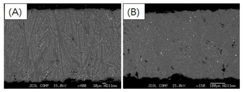이방성 본드자석용 합금 Strip의 결정립 조대화 열처리 후 미세구조 분석 결과 (A) Before (B) After