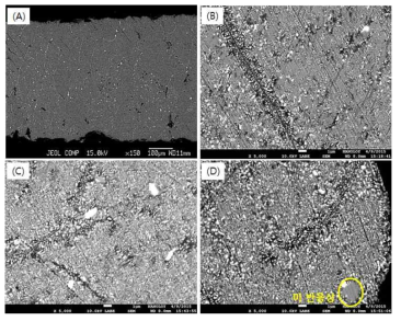 상분해(790℃) 유지 시간 변화에 따른 미세구조 (A) 처리 전 (B) 1시간 (C) 2시간 (D) 3시간