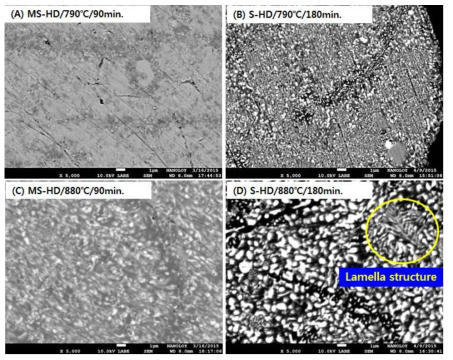 상분해 시 수소분압, 처리온도, 시간과 미세구조의 변화
