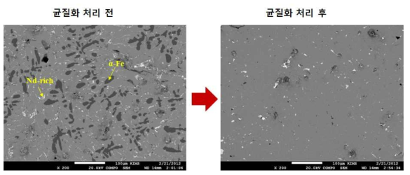 Nd-Fe-B 모합금의 1000℃ 27시간 균질화처리한 시편의 미세구조