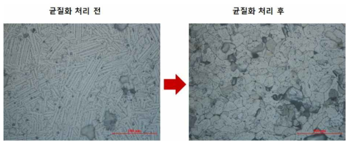 Strip cast된 Nd-Fe-B 모합금의 균질화처리 후 미세구조