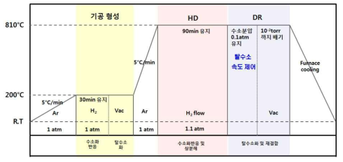 Modified HDDR 열처리 공정 조건