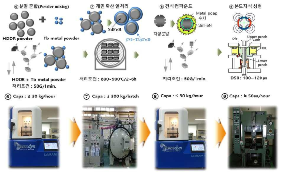 HDDR 분말 GBDP 공정 및 본드자석 제조 공정