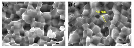 (a) 초기 HDDR 분말 및 (b) 4 wt.% NdHx-Cu 분말을 850℃에서 입계확산 처리한 HDDR 분말의 파단면 이미지