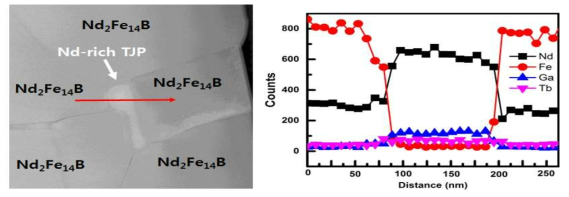 Tb metal pwder 확산 열처리 분말의 미세구조 변화 분석
