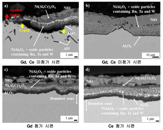 반복산화 실험 후 Gd, Ce 첨가에 따른 산화층 미세조직 비교 ; a)미첨가 시편, b)미첨가 시편, c)Gd 첨가 시편, d)Ce 첨가 시편