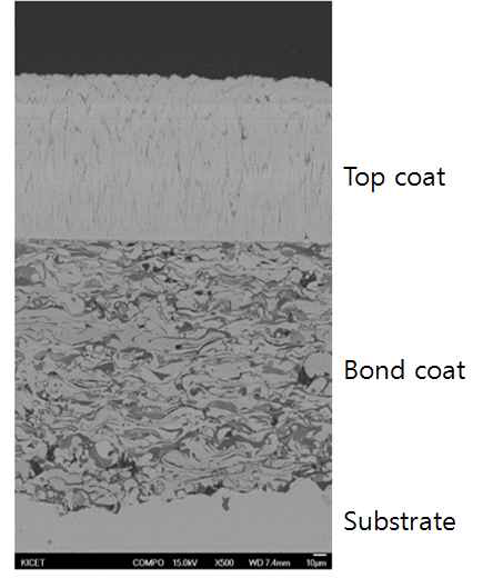 EBPVD 코팅 미세구조 (YSZ)