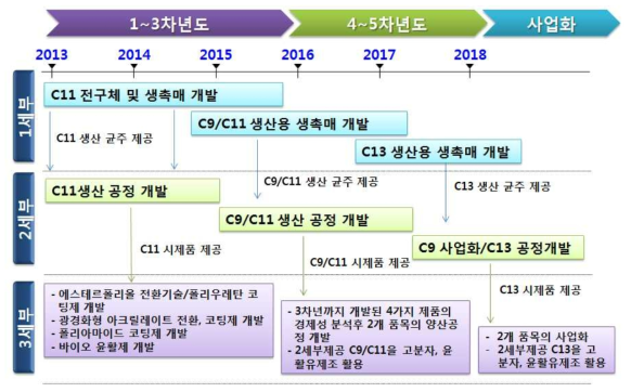 과제 기술개발 로드맵