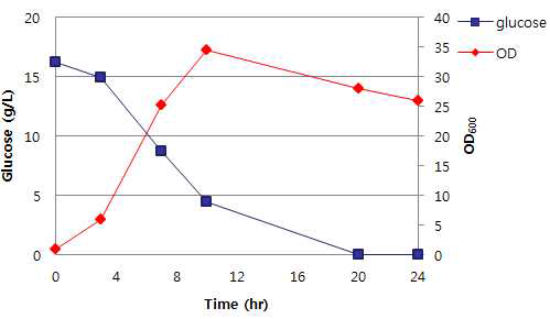 Corynebacterium glutamicum ATCC 13032 wild type - 1L bioreactor 배양결과