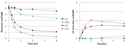 Corynebacterium glutamicum ATCC 13032::pCES208H/I/L:::adh - bioconversion 결과