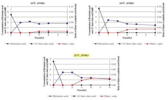 Corynebacterium glutamicum ATCC 13032::pCES208H:36::bvmo - 2step bioconversion 결과