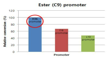 Promoter 세기별 pCES208 vector에서 핵심 유전자(BVMO) 발현 비교