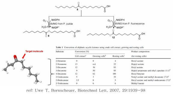 BVMOKT2440의 α,ω-dicarboxylic/ω-hydroxybaboxylic acid 생산 이용 및 탄소 길이에 따른 케톤 기질 특이성