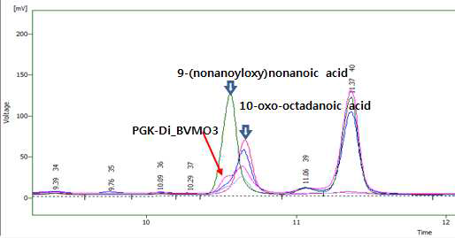 PGK-BVMO3 fusion 단백질의 올레산 생변환 실험 결과