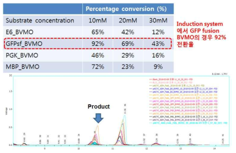 GFP-E6-BVMO fusion 단백질을 구축 및 ester 전환 활성 평가