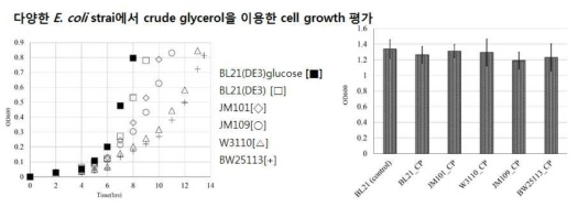 crude glycerol 배지에서 다양한 대장균주 생장속도 측정