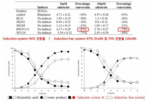 crude glycerol을 탄소원으로 할 경우 induction free system에서 에스터 전환율 측정