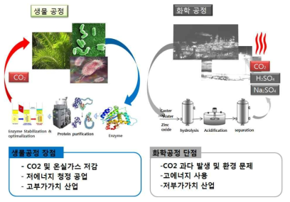 생물공정과 화학공정의 비교