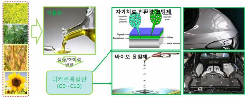 바이오매스로부터 C9, C10, C11, C13 장쇄디카르복실산의 생산과 이를 활용한 고분자 합성 및 기능성 제품 제조 개념도