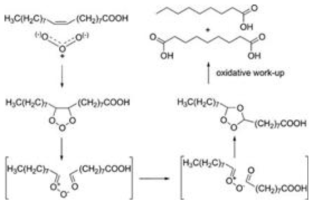 올레산의 오존산화분해반응 (ozonolysis)을 통한 아젤레산 생산 제조 개념도