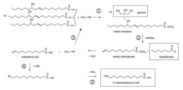 Castor oil의 cracking을 통한 11-aminoundecanoic acid 생산 개념도