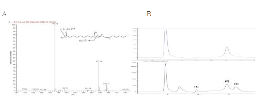 A. LC-MS/MS chromatogram. B. HPLC chromatogram using a chiral-phase column. Reaction products of Nostoc sp. LOX, upper; and the 9R- (2), 9S- (3), and 13S-HODE (1) standards, lower