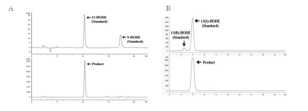 HPLC analysis of the product obtained from linoleic acid by B. thailandensis 13-lipoxygenase. (A) Regioselectivity. (B) Chirality