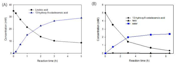 E. coli ER2556 pAhyd를 이용한 13-hydroxy-9-octadecenoic acid 생산 (A) 및 E. coli BL21 (DE3) pAPTm-E6BVMOC302L-ADH, pCON-FadL을 이용한 C13 디카르복실산 전구체인 에스터 생합성 결과 (B). 재조합 대장균의 회분식 배양 후 리놀레산을 35 mM로 투입한 후 생물전환을 진행하였음. 리놀레산 (●), 13-hydroxy-9-octadecenoic acid (▲), 에스터 (■) 농도