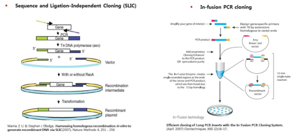 Sequence and Ligation-Independent cloning(SLIC)와 In-fusion PCR coloning 기법