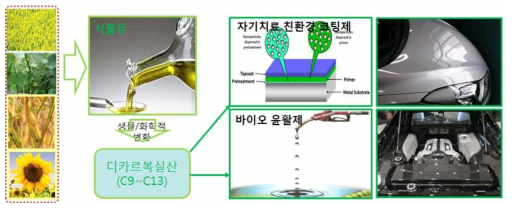 바이오매스로부터 C9~C13 장쇄디카르복실산의 생산과 이를 활용한 고분자 합성 및 기능성 제품 제조 개념도