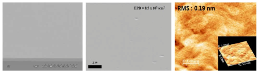8인치 GOS 기판의 SEM, AFM 및 EPD 결과 이미지