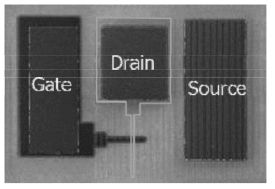 제작된 소자의 평면 SEM image