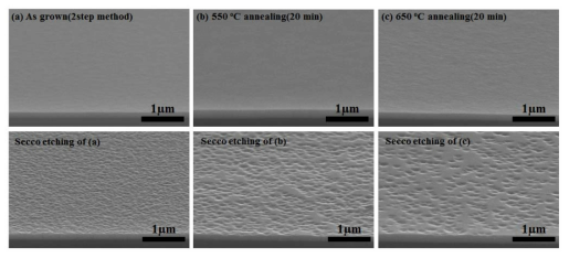 Ge 2 step growth 및 in-situ annealing 공정 후 secco etching한 SEM 이미지