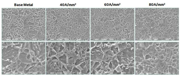 전류밀도에 따른 단면 SEM 사진