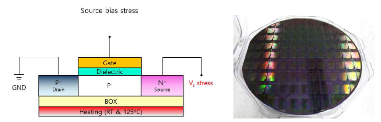 source bias stress 와 인가된 p-type Tunnel FET 모식도와 TFET웨이퍼