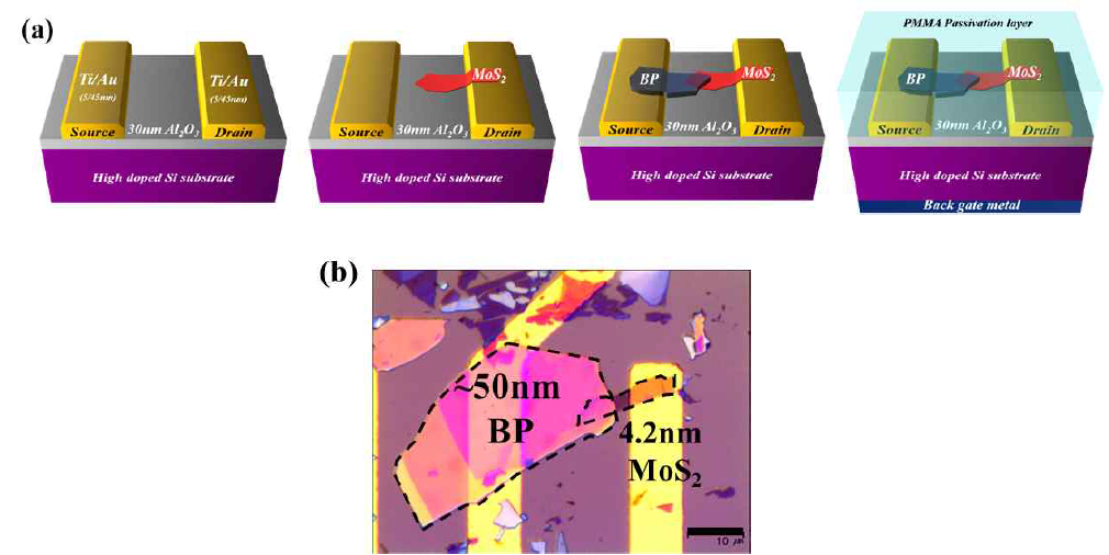 MoS2/BP TFET의 (a) 공정 흐름도 (b) 광학 이미지