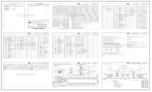 Ballast System Piping & Instrument Diagram