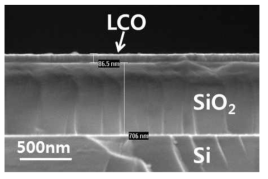 스퍼터로 Si 기판위에 증착한 LCO의 SEM 이미지