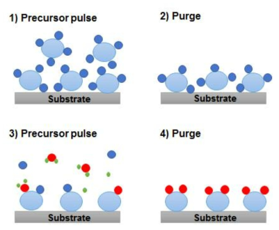 Atomic layer deposition의 원리