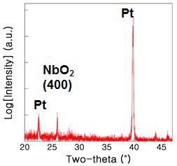 NbO2 박막 형성한 샘플 XRD 측정