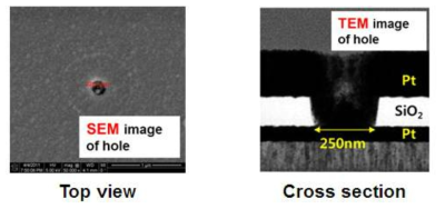 Via-Hole 구조의 250 nm급 기판의 SEM 및 TEM image