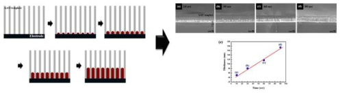 AAO nanotemplate을 이용한 bottom-up 공정 기술 개발