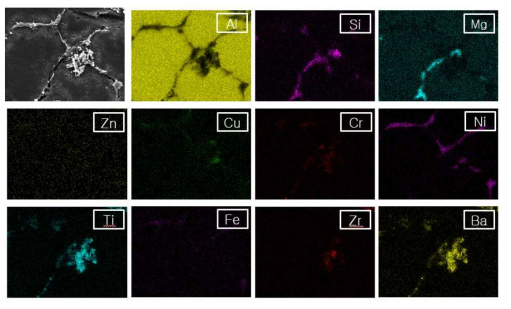 개량된 A6061합금(#R5합금) 주조 시험편의 미세구조 및 석출물의 형상 (SEM/EDS Dot Mapping Images)