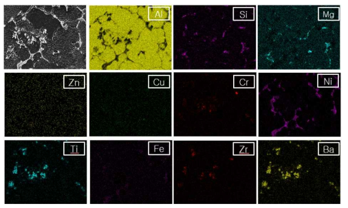 개량된 A6061합금(#R5합금) 시효처리 시험편의 미세구조 및 석출물의 형상 (SEM/EDS Dot Mapping Images)