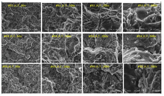 개량된 A6061합금 시효처리 시험편의 인장시험 파면의 형상 (SEM Images)