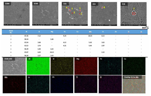 #C_MH_2 합금 T6 시험편의 미세구조 형상 (SEM/EDS Dot Mapping Images)