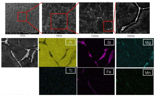 A6061합금(#R1합금) 주조 시험편의 미세구조 및 석출물의 형상 (SEM/EDS Dot Mapping Images)