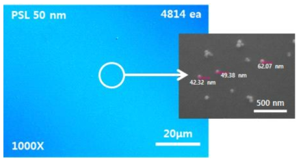 PSL 50 nm 입자 오염 후 광학현미경과 SEM을 이용하여 관찰한 모습