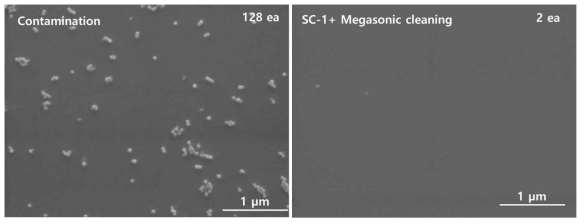 PSL 50 nm 입자가 SC-1 메가소닉 세정공정에 의해 제거된 모습 (SEM 측정 결과)