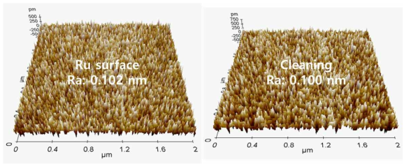 SC-1 세정공정 후 Ru 표면의 조도 변화 평가 결과